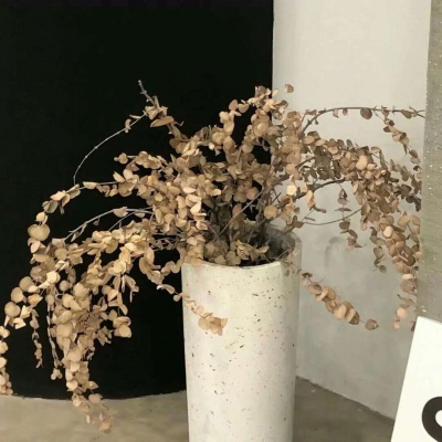 兽设国风设计灵感福瑞交流群